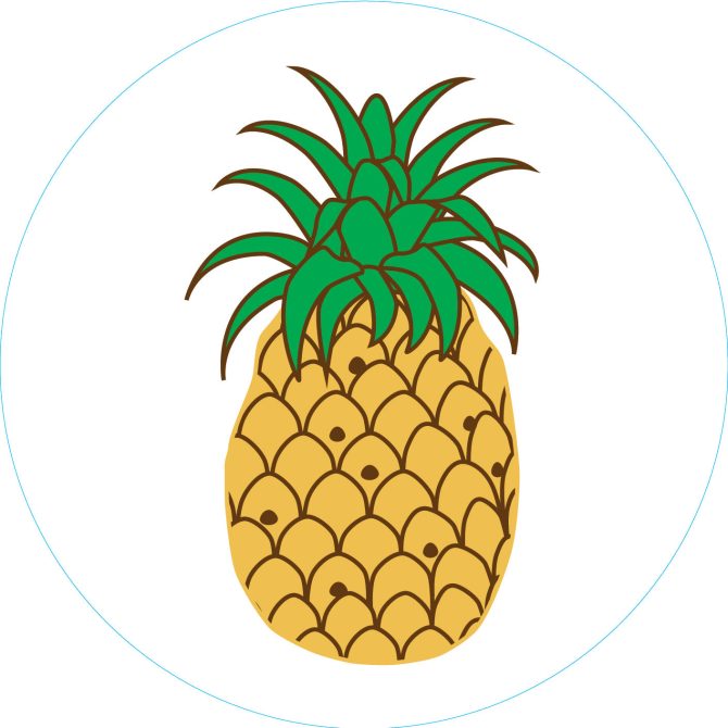 Bogg Bit  - Pineapple