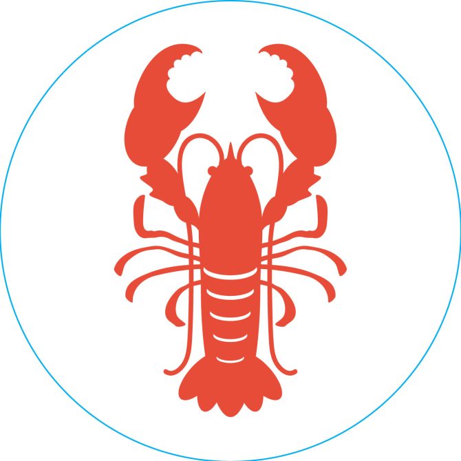 Bogg Bit  - Lobster